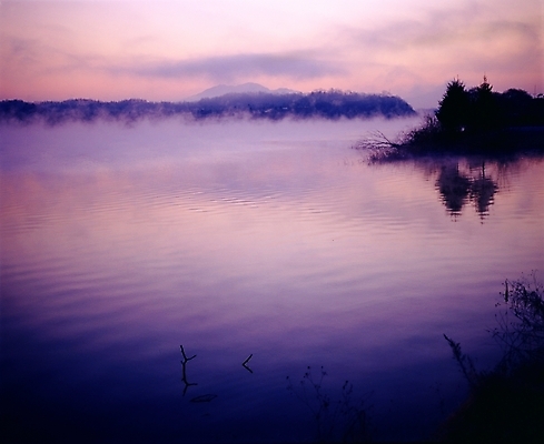 포토 JPG 주간 나무 호수 자연 풍경 사람없음 야외 반사 안개 충주호 국내포토 자연요소 식물 날씨 생태계 충주 파일형식