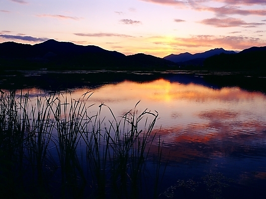 포토 JPG 주간 식물 호수 자연 하늘 산 풍경 사람없음 야외 태양 일출 노을 일몰 충주호 국내포토 자연요소 생태계 충주 파일형식