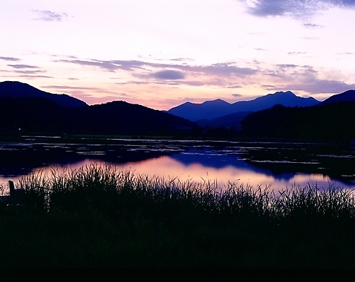 포토 JPG 주간 식물 구름 호수 자연 하늘 산 풍경 사람없음 야외 태양 일출 노을 일몰 충주호 국내포토 자연요소 생태계 충주 파일형식