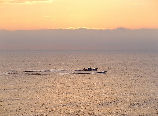 포토 JPG 주간 구름 바다 교통 수상교통 자연 하늘 어업 풍경 사람없음 야외 태양 일출 어선 두대 선박 국내포토 자연요소 산업 교통수단 2 배_교통 노을 생태계 파일형식