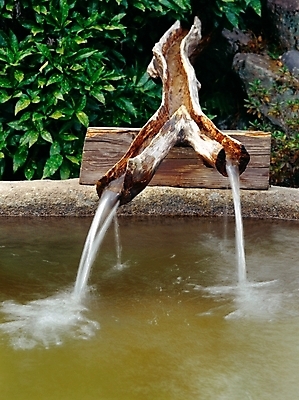 포토 JPG 주간 나무 식물 자연 산 풍경 사람없음 야외 초록색 물 바위 약수터 국내포토 자연요소 컬러 생태계 파일형식
