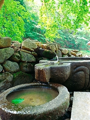 포토 JPG 주간 나무 한국전통 자연 산 풍경 사람없음 야외 초록색 물 돌_바위 바위 약수터 조계산 국내포토 자연요소 식물 전통 컬러 한국 생태계 순천 파일형식