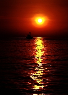 포토 JPG 주간 물결 바다 자연 하늘 풍경 사람없음 야외 태양 노을 일몰 선유도 국내포토 자연요소 섬 생태계 군산 파일형식