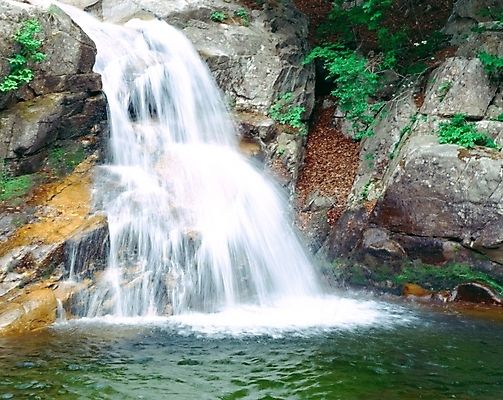 포토 JPG 주간 나무 식물 사계절 계절 자연 산 풍경 사람없음 야외 초록색 물 여름 계곡 폭포 돌_바위 바위 오대산 국내포토 자연요소 컬러 생태계 평창 파일형식