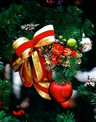 포토 JPG 주간 기념일 리본 크리스마스장식 크리스마스 크리스마스용품 근접촬영 사람없음 야외 장식 빨간색 초록색 크리스마스트리 방울 오브젝트 국내포토 자연요소 뷰포인트 컬러 이벤트 용품 파일형식