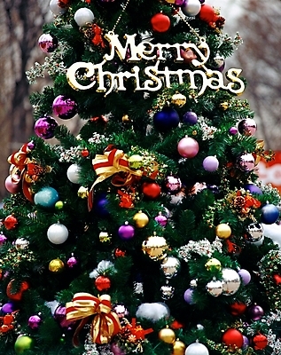 포토 JPG 주간 기념일 리본 크리스마스장식 크리스마스 크리스마스용품 근접촬영 사람없음 야외 장식 빨간색 초록색 크리스마스트리 방울 오브젝트 국내포토 자연요소 뷰포인트 컬러 이벤트 용품 파일형식