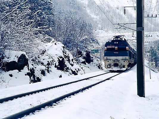 포토 JPG 주간 사계절 계절 육상교통 교통 설경 겨울 자연 산 풍경 사람없음 야외 기찻길 기차 눈 신기함 대설 삼척 철도의날 국내포토 자연요소 교통수단 컨셉 날씨 대중교통 절기 생태계 강원도 파일형식 법정기념일