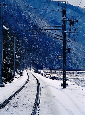 포토 JPG 주간 나무 시설물 사계절 계절 현대건축 건축 길 설경 겨울 자연 산 풍경 사람없음 야외 기찻길 눈 전봇대 대설 삼척 철도의날 국내포토 자연요소 식물 건축물 공공시설 날씨 절기 생태계 강원도 파일형식 법정기념일