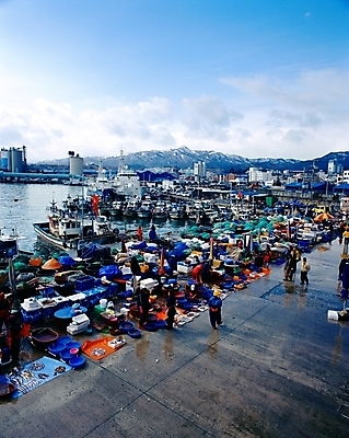 포토 JPG 주간 공공시설 산업 바다 교통 수상교통 하늘 어업 사람 풍경 여러명 사람없음 야외 항구 어선 시장 묵호항 어시장 선박 국내포토 자연요소 교통수단 다수 배_교통 교통시설 시설 강원도 파일형식