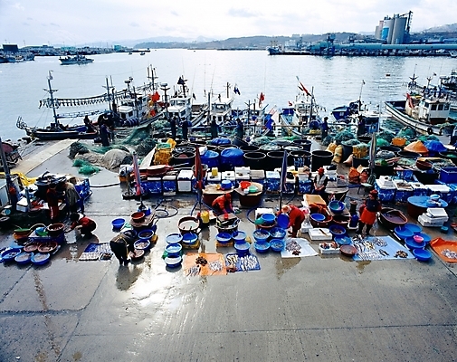 포토 JPG 주간 공공시설 산업 바다 교통 수상교통 하늘 어업 사람 풍경 여러명 야외 항구 어선 시장 묵호항 선박 국내포토 자연요소 교통수단 다수 배_교통 교통시설 시설 강원도 파일형식