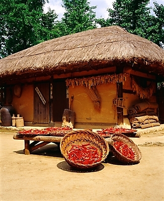 포토 JPG 주간 한국전통 시설물 건축물 사계절 계절 건축 고건축 한국건축 자연 고추 한옥 주택 초가집 사람없음 야외 소쿠리 정원 동양건축 가을 추분 국내포토 자연요소 전통 채소 한국 건물 바구니 절기 생태계 파일형식 동양