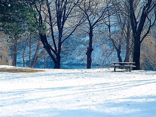 포토 JPG 주간 나무 식물 사계절 계절 설경 겨울 벤치 자연 산 여러그루 그림자 풍경 사람없음 야외 강 눈 남이섬 국내포토 자연요소 섬 다수 의자 날씨 생태계 강원도 파일형식