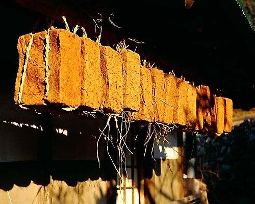 포토 JPG 주간 전통 음식 식재료 자연 한옥 그림자 풍경 사람없음 야외 전통음식 농촌 시골 양념 장 처마 강릉 메주 국내포토 자연요소 한국전통 고건축 생태계 강원도 파일형식