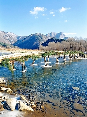포토 JPG 주간 나무 자연 하늘 산 풍경 사람없음 야외 강 계곡 시골 개울 섶다리 가교 국내포토 자연요소 식물 건축물 생태계 파일형식