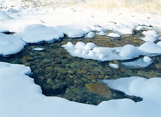 포토 JPG 주간 사계절 계절 겨울 자연 풍경 사람없음 야외 물 골짜기 계곡 돌_바위 눈 개울 오대산 국내포토 자연요소 날씨 산 강 생태계 평창 파일형식