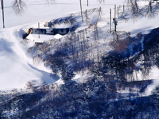 포토 JPG 주간 나무 사계절 계절 설경 겨울 자연 산 주택 풍경 사람없음 야외 설원 눈 숲 국내포토 자연요소 식물 날씨 눈_날씨 건물 생태계 파일형식