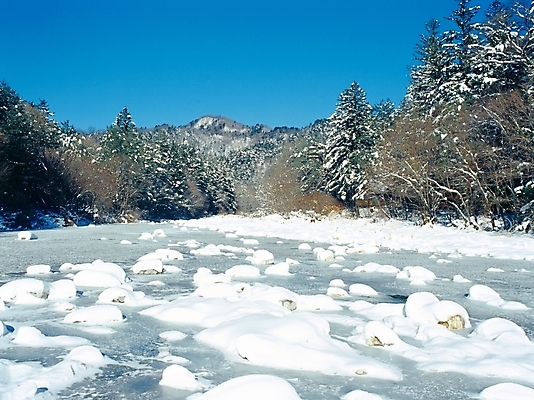 포토 JPG 주간 나무 사계절 계절 겨울 자연 산 풍경 사람없음 야외 물 설원 골짜기 계곡 돌_바위 눈 개울 오대산 국내포토 자연요소 식물 날씨 눈_날씨 강 생태계 평창 파일형식