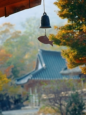 포토 JPG 주간 나무 식물 한국전통 시설물 건축 종교 고건축 불교 한국건축 종교건축 한옥 기와집 풍경 사람없음 야외 동양건축 종 사찰 사원 처마 경쇠 고창 선운사 풍경종 국내포토 자연요소 전통 건축물 비즈니스 한국 전라북도 불교용품 파일형식 동양