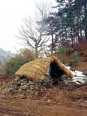 포토 JPG 주간 나무 식물 한국전통 시설물 건축 한국건축 자연 풍경 사람없음 야외 동양건축 농촌 시골 강원도 양양군 움막 국내포토 자연요소 전통 건축물 한국 생태계 파일형식 동양