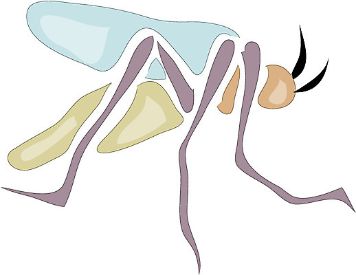 EPS 클립아트 동물 한마리 곤충 절지류 일러스트 사람없음 해충 벌레 모기 국내일러스트 1 파일형식 벡터