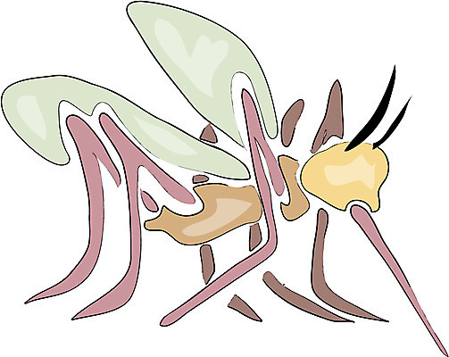 EPS 클립아트 동물 한마리 곤충 절지류 일러스트 사람없음 해충 벌레 모기 국내일러스트 1 파일형식 벡터