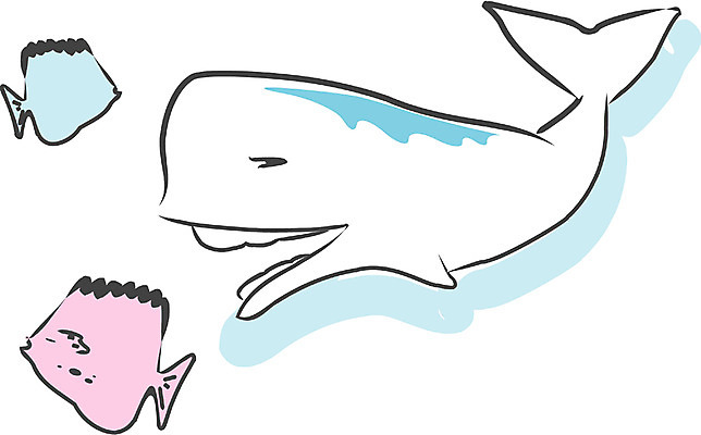 EPS 클립아트 동물 척추동물 야생동물 일러스트 포유류 세마리 어류 사람없음 바다동물 고래 돌고래 국내일러스트 바다 3 수중동물 파일형식 벡터