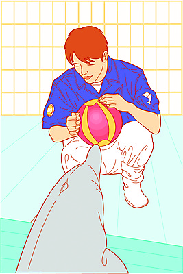 EPS 전신 직업 남자 일러스트 공 한명 사람 앉기 20대 성인 비치볼 돌고래 동물조련사 조련사 남자만 남자한명만 성인남자만 청년만 청년남자만 청년남자한명만 성인한명만 성인남자한명만 성인만 국내일러스트 1 포유류 모션 바캉스용품 청년 수중동물 파일형식 벡터