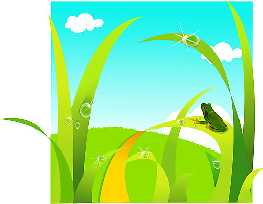 EPS 주간 식물 동물 사계절 계절 잎 일러스트 자연 개구리 양서류 사람없음 야외 여름 물방울 풀 풀잎 청개구리 소만 국내일러스트 자연요소 풀_식물 생태계 파일형식 벡터