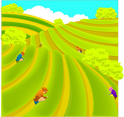 EPS 주간 라이프스타일 사계절 계절 밭 농업 일러스트 자연 노동자 사람 풍경 야외 여름 녹차밭 소만 국내일러스트 자연요소 직업 산업 생활 녹차 생태계 파일형식 벡터