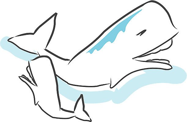 EPS 클립아트 동물 척추동물 야생동물 새끼 두마리 일러스트 포유류 사람없음 바다동물 고래 돌고래 어미고래 국내일러스트 바다 2 수중동물 파일형식 벡터