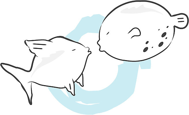 EPS 클립아트 동물 척추동물 두마리 일러스트 어류 사람없음 바다동물 복어 국내일러스트 바다 2 수중동물 파일형식 벡터