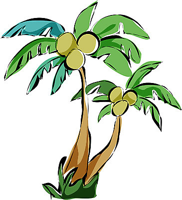 EPS 클립아트 나무 식물 열매 여행 일러스트 휴가 한그루 사람없음 야외 야자수 열대식물 야자열매 두그루 국내일러스트 1 2 파일형식 벡터