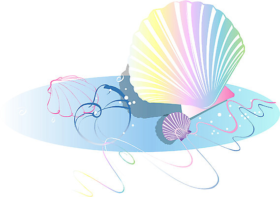 EPS 클립아트 동물 사계절 계절 일러스트 자연 조개 어패류 연체동물 사람없음 여름 가리비 국내일러스트 무척추동물 생태계 파일형식 벡터