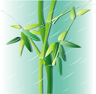EPS 클립아트 나무 식물 일러스트 자연 사람없음 비 대나무 소서 죽순 국내일러스트 자연요소 날씨 여름 절기 생태계 파일형식 벡터