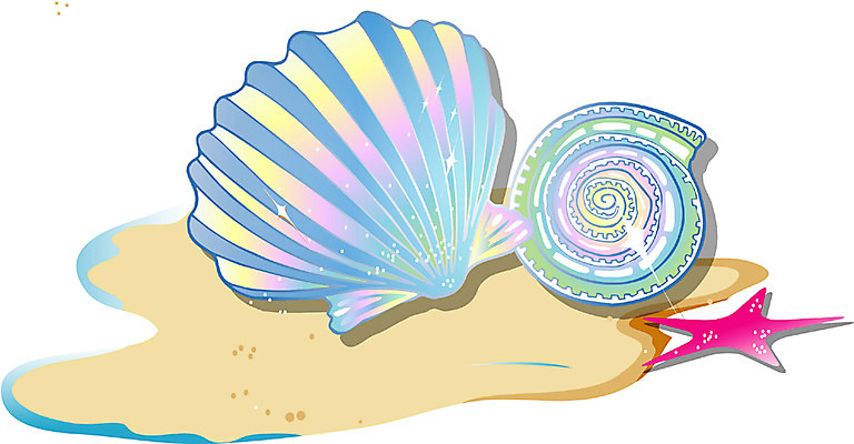 EPS 동물 아이콘 사계절 계절 자연 조개 어패류 불가사리 연체동물 사람없음 여름 소라 가리비 2D아이콘 극피동물 무척추동물 생태계 파일형식 벡터