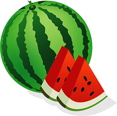 EPS 클립아트 식물 열매 과일 일러스트 수박 사람없음 농작물 과채 국내일러스트 농업 채소 파일형식 벡터