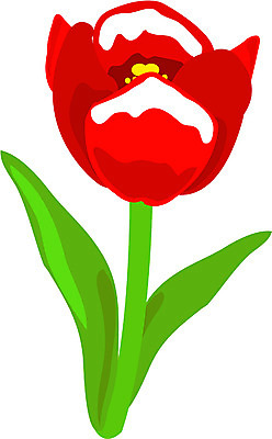 EPS 클립아트 식물 꽃잎 꽃 컬러 잎 한송이 일러스트 사람없음 빨간색 국내일러스트 1 송이 파일형식 벡터