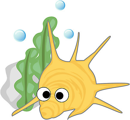 EPS 클립아트 식물 동물 캐릭터 한마리 바다 일러스트 극피동물 사람없음 바다동물 물방울 가시 해조류 성게 해초류 일러캐릭터 1 수중동물 해양식물 파일형식 벡터