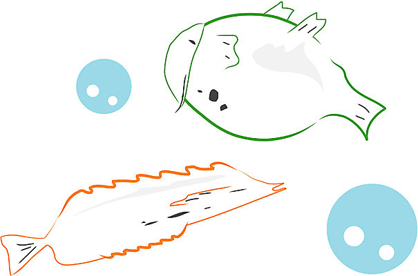 EPS 클립아트 동물 척추동물 두마리 일러스트 어류 사람없음 바다동물 물방울 국내일러스트 바다 2 수중동물 파일형식 벡터