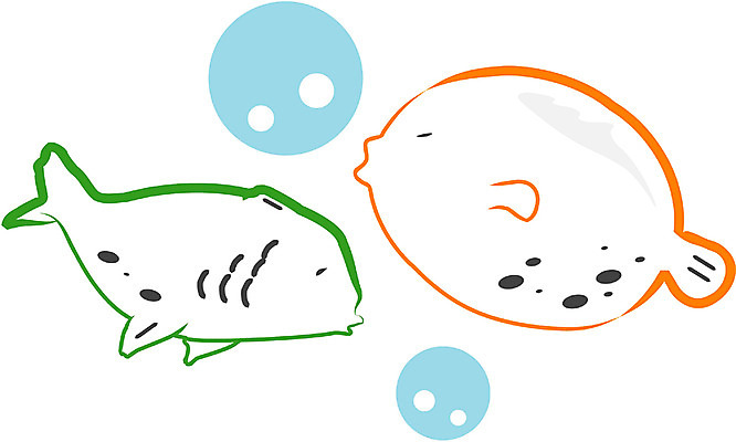 EPS 클립아트 동물 척추동물 두마리 일러스트 어류 사람없음 바다동물 물방울 국내일러스트 바다 2 수중동물 파일형식 벡터