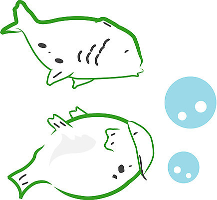 EPS 클립아트 동물 척추동물 두마리 일러스트 어류 사람없음 바다동물 물방울 국내일러스트 바다 2 수중동물 파일형식 벡터