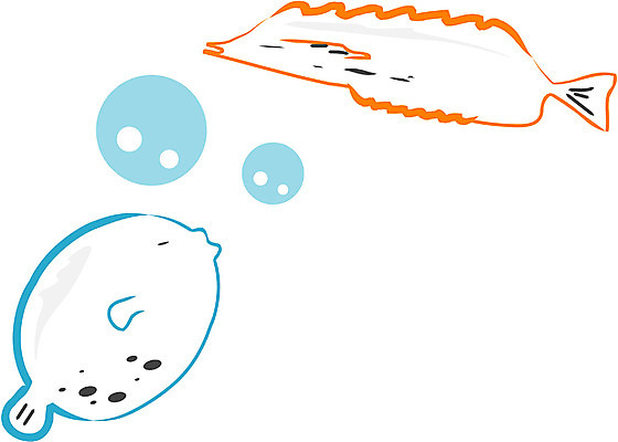 EPS 클립아트 동물 척추동물 두마리 일러스트 어류 사람없음 바다동물 물방울 복어 국내일러스트 바다 2 수중동물 파일형식 벡터