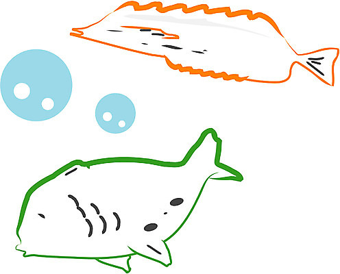 EPS 클립아트 동물 척추동물 두마리 일러스트 어류 사람없음 바다동물 물방울 국내일러스트 바다 2 수중동물 파일형식 벡터