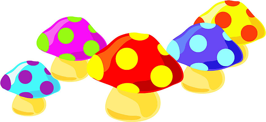 EPS 클립아트 식물 음식 일러스트 식재료 사람없음 농작물 컬러풀 버섯 식용버섯 국내일러스트 컬러 농업 파일형식 벡터