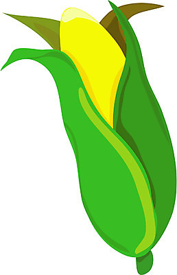 EPS 식물 아이콘 열매 음식 컬러 식재료 곡류 옥수수 사람없음 초록색 농작물 컬러풀 2D아이콘 농업 파일형식 벡터