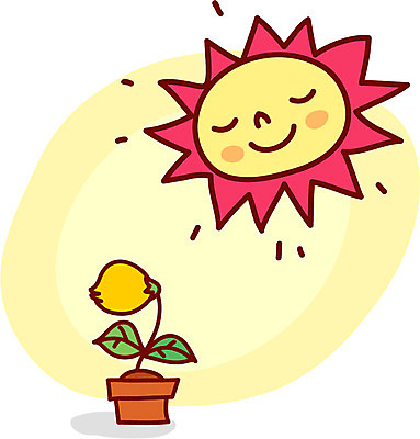 EPS 클립아트 식물 꽃 화분 일러스트 자연 날씨 사람없음 태양 노란색 맑음 국내일러스트 자연요소 컬러 생태계 파일형식 벡터