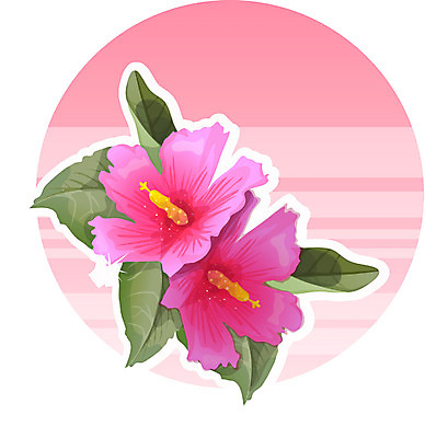 EPS 식물 꽃 일러스트 자연 한국 가을꽃 사람없음 삼일절 이미지다이어리 무궁화 애국심 국내일러스트 아시아 공휴일 국경일 생태계 파일형식 벡터 가을_계절