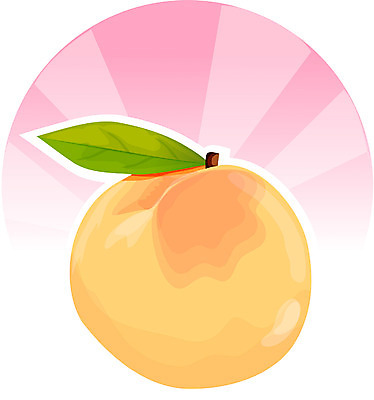 EPS 식물 계절 과일 일러스트 사람없음 가을 절기 이미지다이어리 복숭아 추분 음력 국내일러스트 파일형식 벡터
