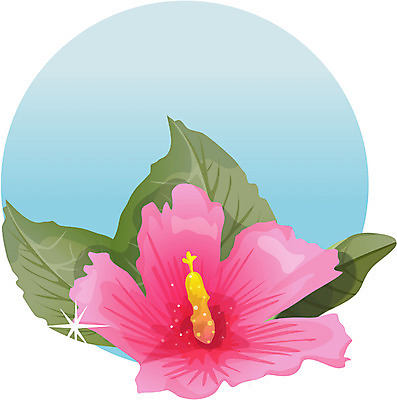 EPS 식물 꽃 일러스트 자연 한국 국화 가을꽃 사람없음 이미지다이어리 무궁화 광복절 국내일러스트 아시아 공휴일 국경일 생태계 파일형식 벡터 가을_계절