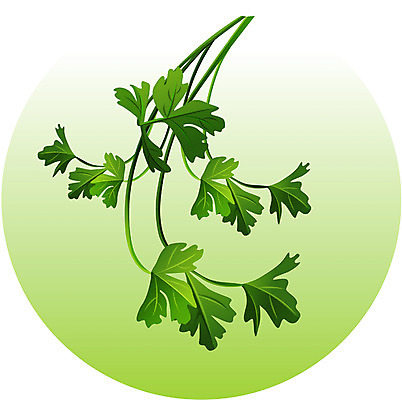 EPS 식물 기념일 음식 채소 일러스트 식재료 한국 사람없음 이미지다이어리 신화 개천절 쑥 국내일러스트 아시아 이벤트 공휴일 국경일 파일형식 벡터